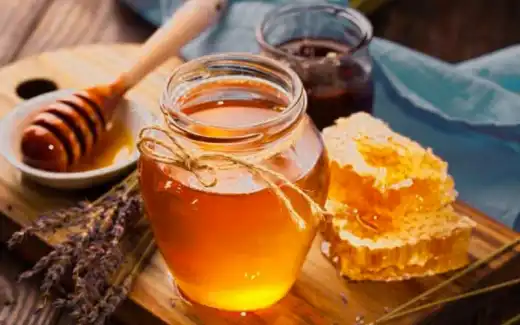 Madu Propolis